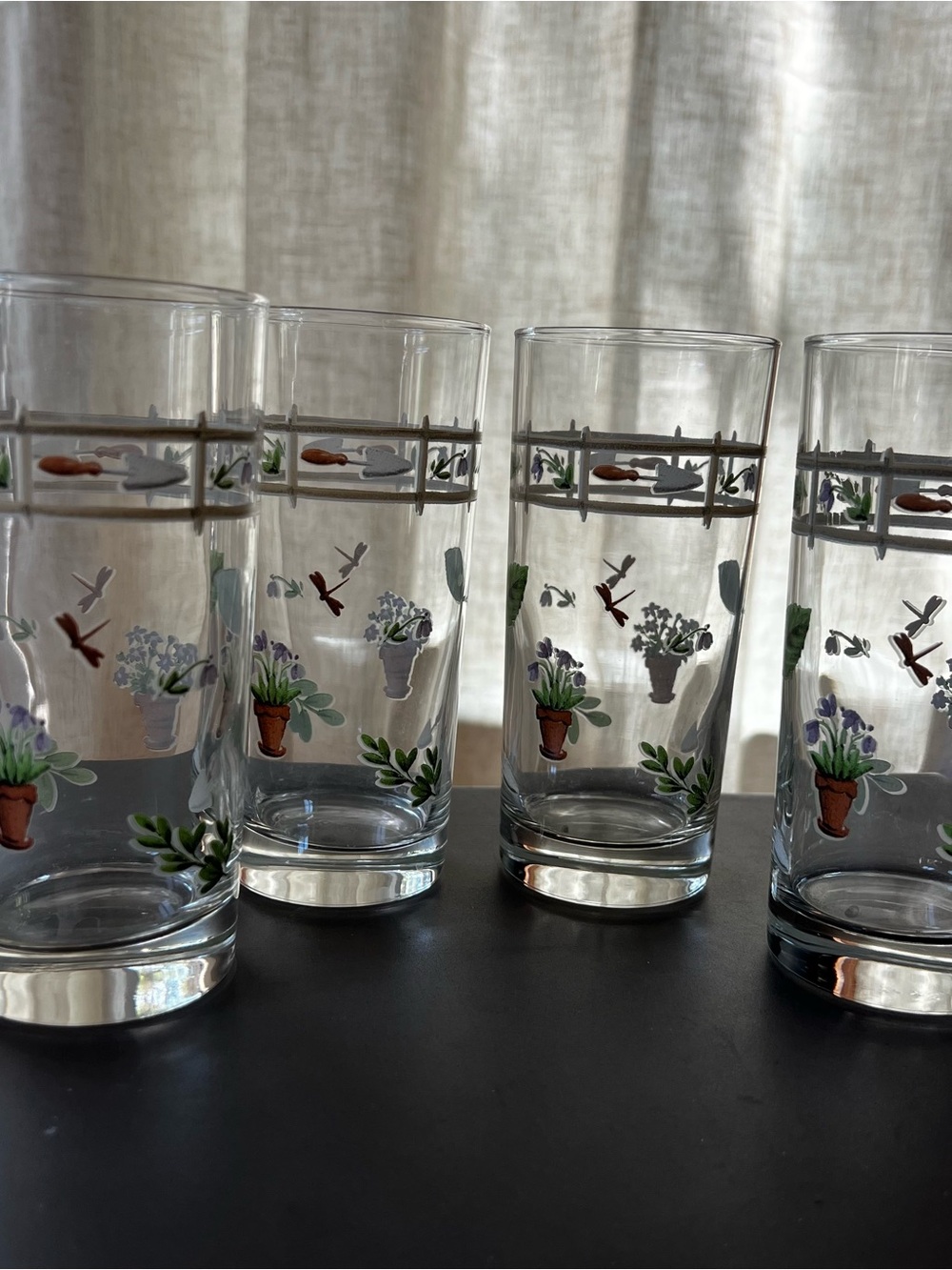 Vintage Garden Pfaltzgraff Glassware Set (x4)